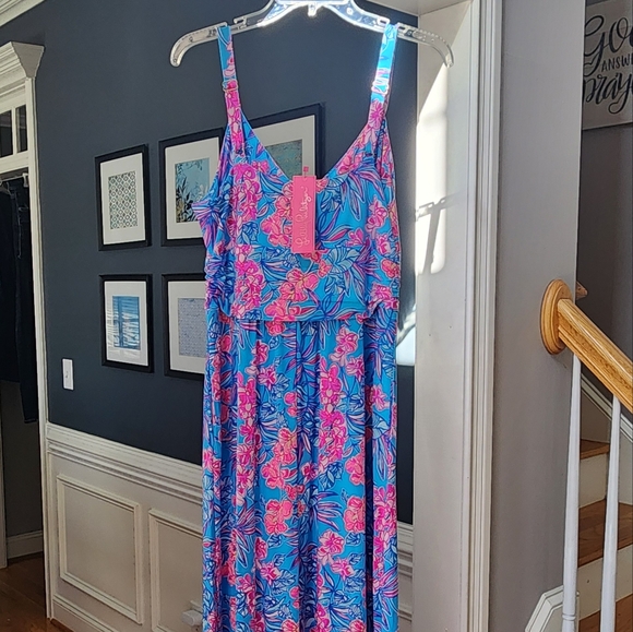 NWT Lilly Pulitzer Blake Maxi Cumulus Blue Orchid Oasis Dress Size 10 - Picture 4 of 7